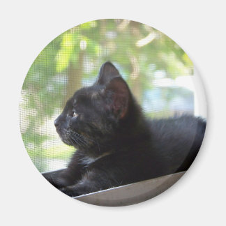 Serene Magnet
