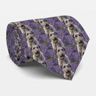 Serene Majesty: Wolfhound sitzt in einer Lila Iris Krawatte