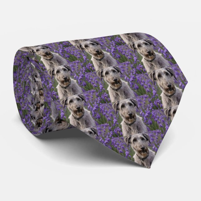 Serene Majesty: Wolfhound sitzt in einer Lila Iris Krawatte (Gerollt)
