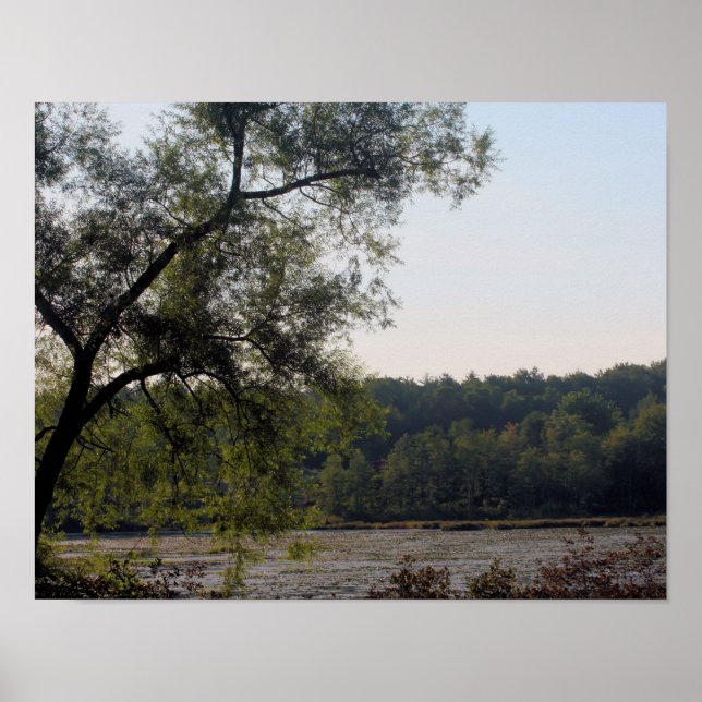 Serene Marsh und Baumart Poster (Vorne)