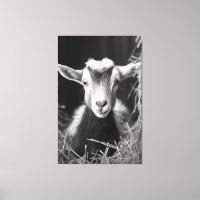 Serene Monochromatic Artistic Baby Goat Portrait