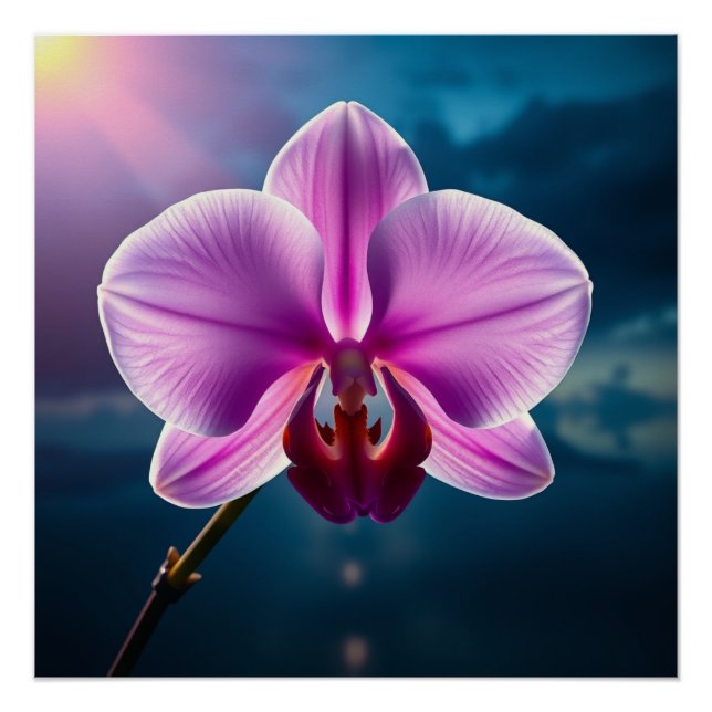 serene purple flower poster (Vorderseite)