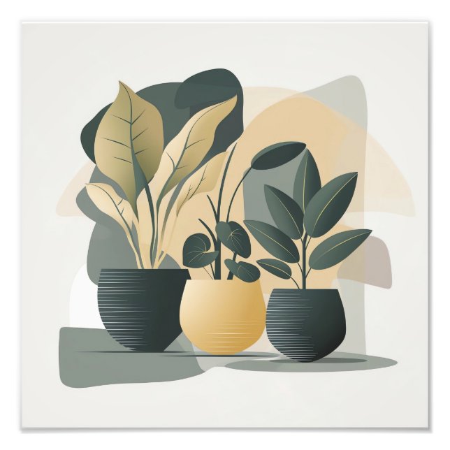 Serene Succulents Fotodruck (Vorne)