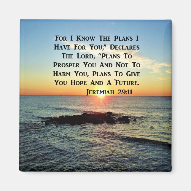 SERENE SUNRISE JEREMIAH 29:11 SCRIPTURE DESIGN MAGNET (Vorne)