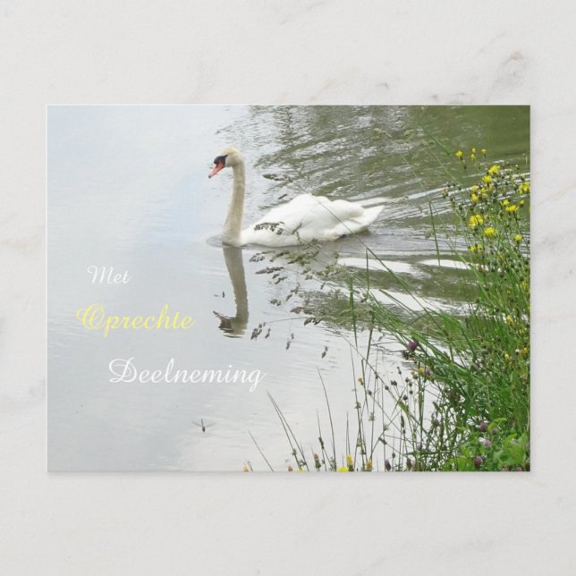 Serene Swan & Dragonfly Beileid Postkarte (Vorderseite)