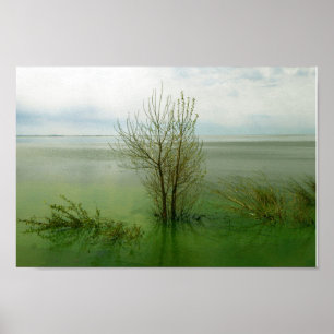 Serene Waterscape Landscape Poster