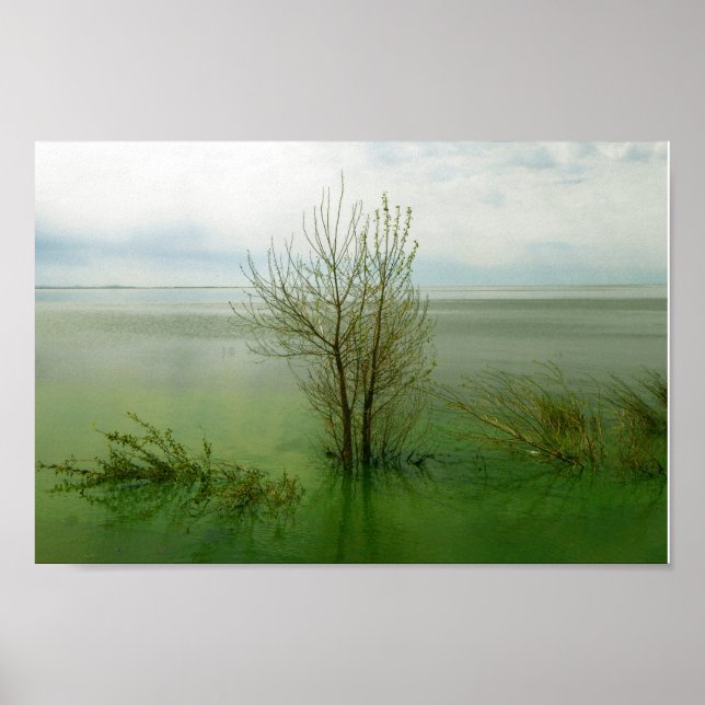 Serene Waterscape Landscape Poster (Vorne)