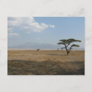 Serengeti-Ebenen Postkarte