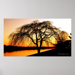 Serengeti in der Stadt Poster