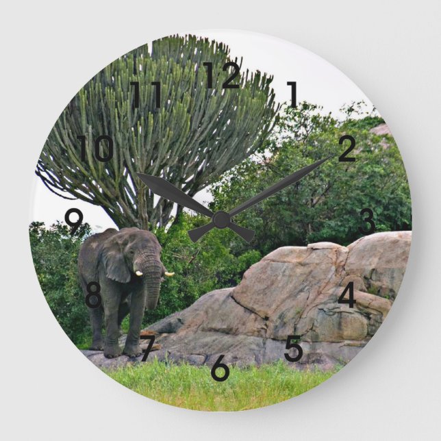 Serengeti Kopje - Tansania, Afrika Große Wanduhr (Vorderseite)