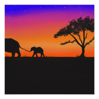 Serengeti Nächte Poster