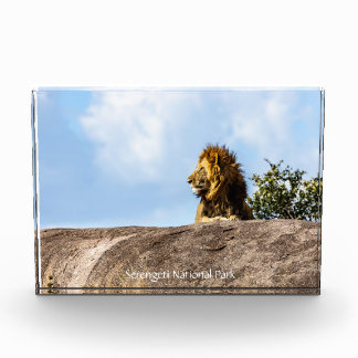 Serengeti-Nationalpark Fotoblock