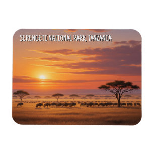 Serengeti Nationalpark Tansania Postcard Magnet
