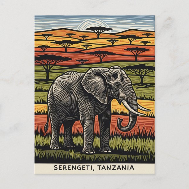 Serengeti Nationalpark Tansania Postkarte (Vorderseite)