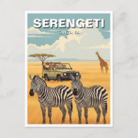 Serengeti Nationalpark Tansania Zebras