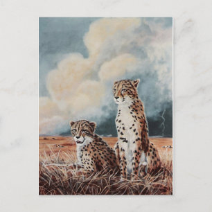 Serengeti Strikes Postkarte