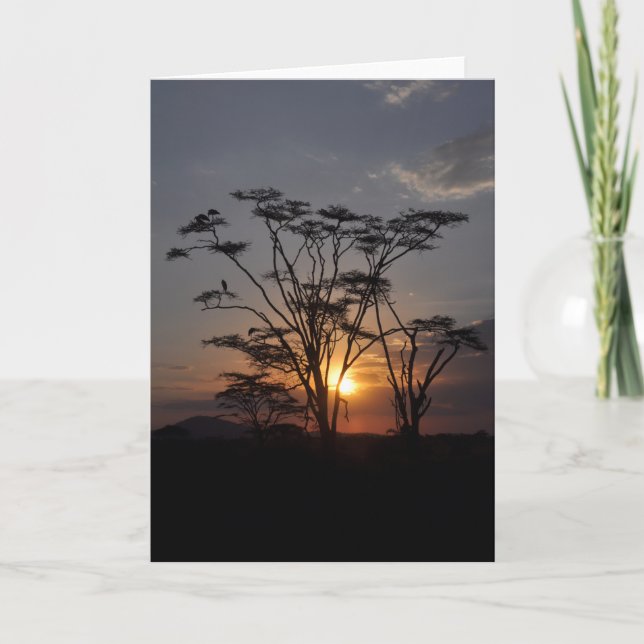 Serengeti Sunset Karte (Vorderseite)
