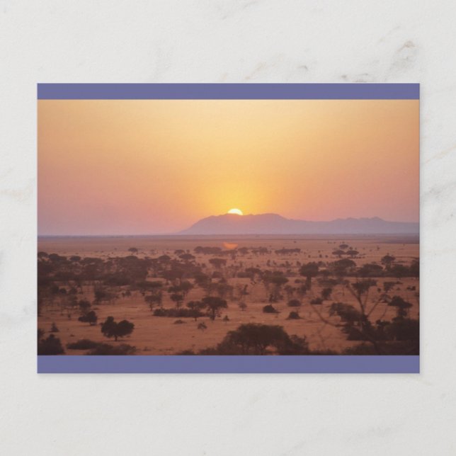 Serengeti Sunset Postkarte (Vorderseite)
