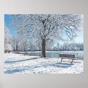 SERENITÄT IM ÄLTEREN PARK/ERSTER SCHNEEFALL POSTER