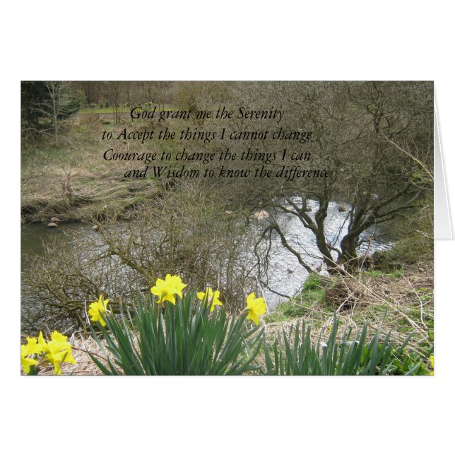 serenity daffodils (Vorderseite (Horizontal))