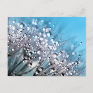 Serenity Gebet Sparkling Dew Sky Blue Background Postkarte