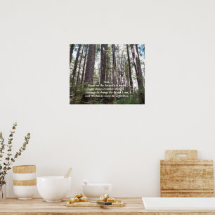 Serenity Gebet Sunlit Forest Fotografy Poster