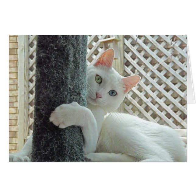 Serenity Hug Card (Vorderseite (Horizontal))