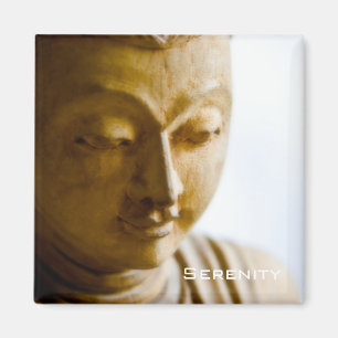 Serenity ・ Magnet