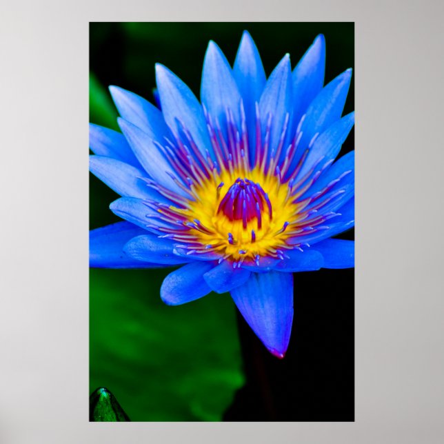 Serenity - poster (Vorne)