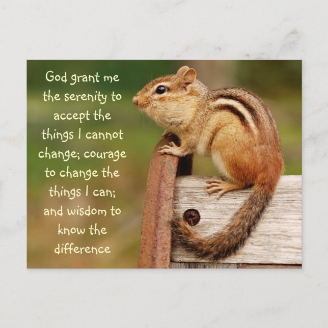 Serenity Prayer Chipmunk Postcard Postkarte (Vorderseite)