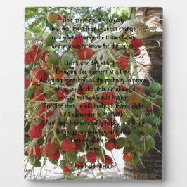 Serenity Prayer Fotoplatte