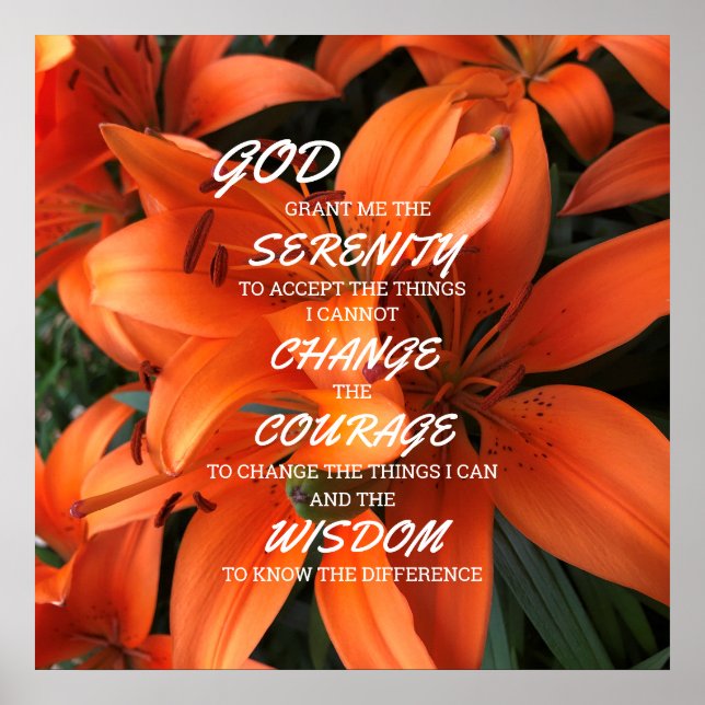 Serenity Prayer Orange Lily Blume Foto Poster (Vorne)