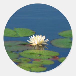 Serenity Water Lily Runder Aufkleber
