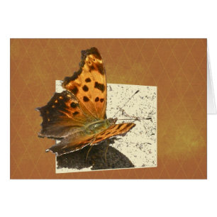 Série des papillons Angle Wing Comma