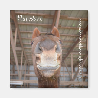 Serie für Sammelhefte - Navedano Magnet