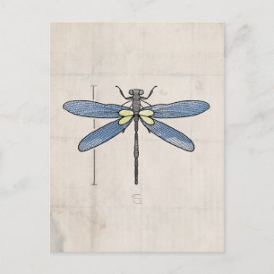 Serie Insekten - Dragonfly von VOL25 Postkarte