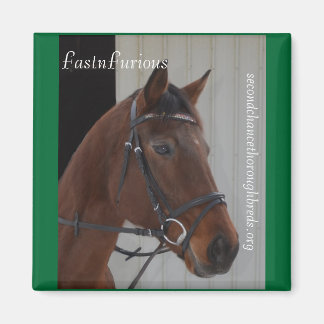 Série Magnet Collectif - FastnFurious