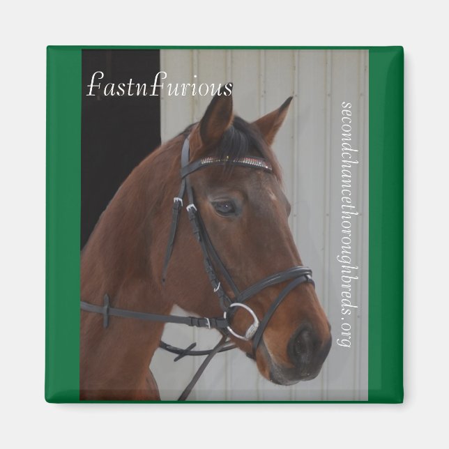 Série Magnet Collectif - FastnFurious (Devant)