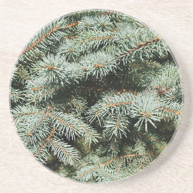 Serie Pflanze/Blume - Blue Spruce Untersetzer (Vorne)