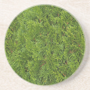 Serie Pflanze/Blume - Untersetzer von Cedar Bush