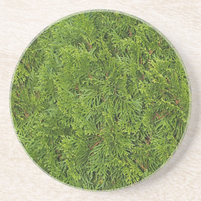 Serie Pflanze/Blume - Untersetzer von Cedar Bush (Vorne)