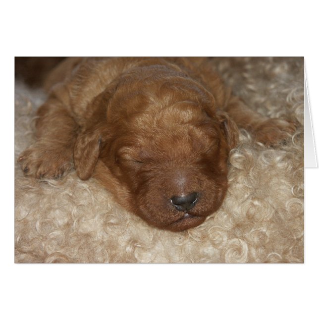 Series-10 nouveau-né (Devant horizontal)