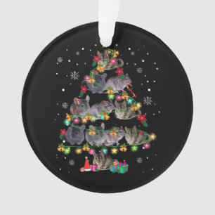 Séries de Noël de Chinchilla, rongeurs amusants 