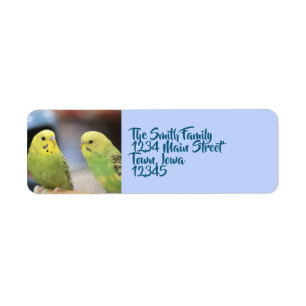 Seriöse Keets
