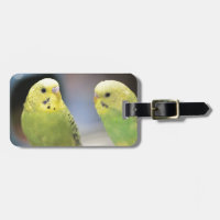 Seriöse Keets