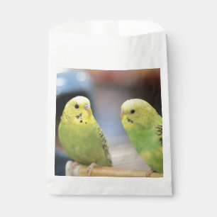 Seriöse Keets Geschenktütchen
