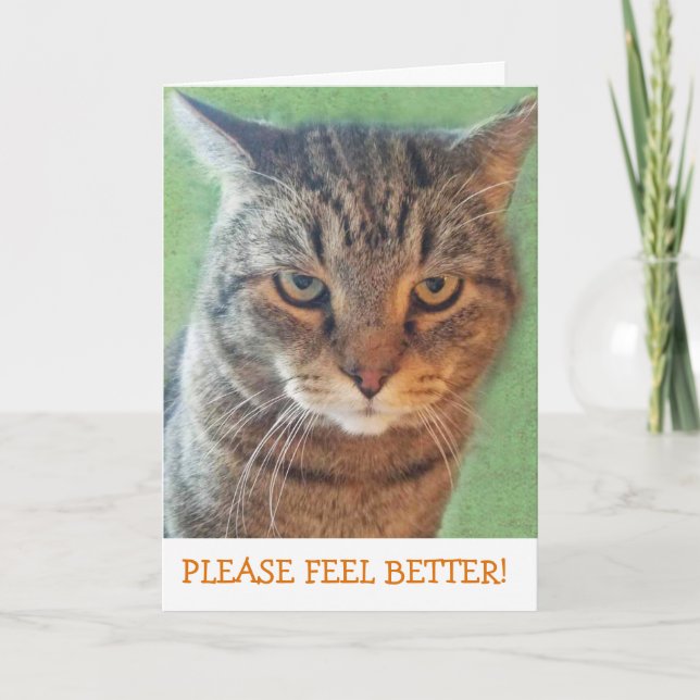 Seriöse Kitty Get Well Card Karte (Vorderseite)