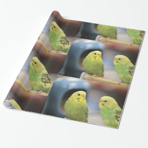 Seriöse Schlüssel Geschenkpapier