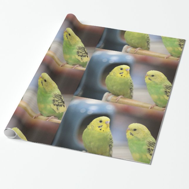 Seriöse Schlüssel Geschenkpapier (Ungerollt)