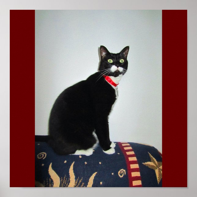 Serious Lucy Poster (Vorne)